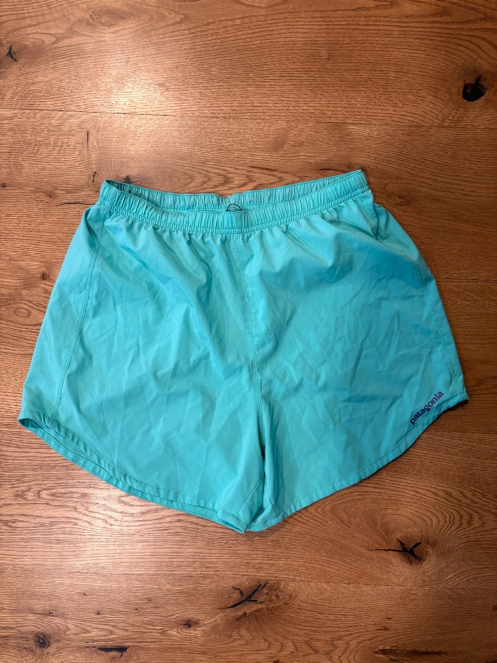 Patagonia Mint Green Active Shorts